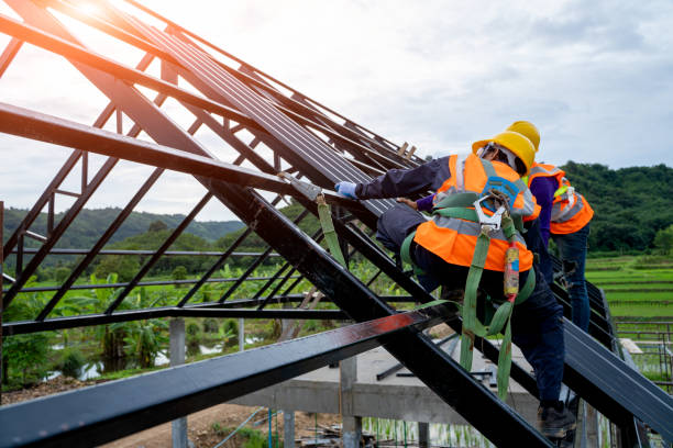 Best Roof Replacement Cost  in Wilsons Mills, NC