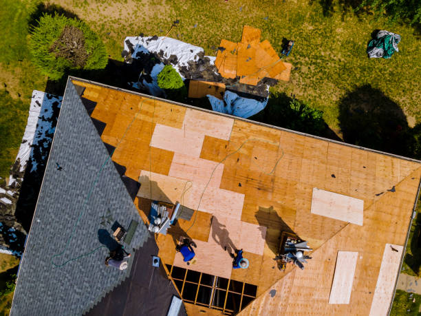 Best Roof Gutter Cleaning  in Wilsons Mills, NC