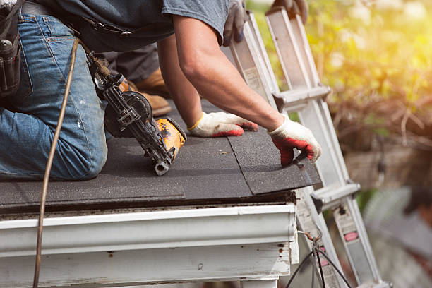 Best Roof Repair Services  in Wilsons Mills, NC